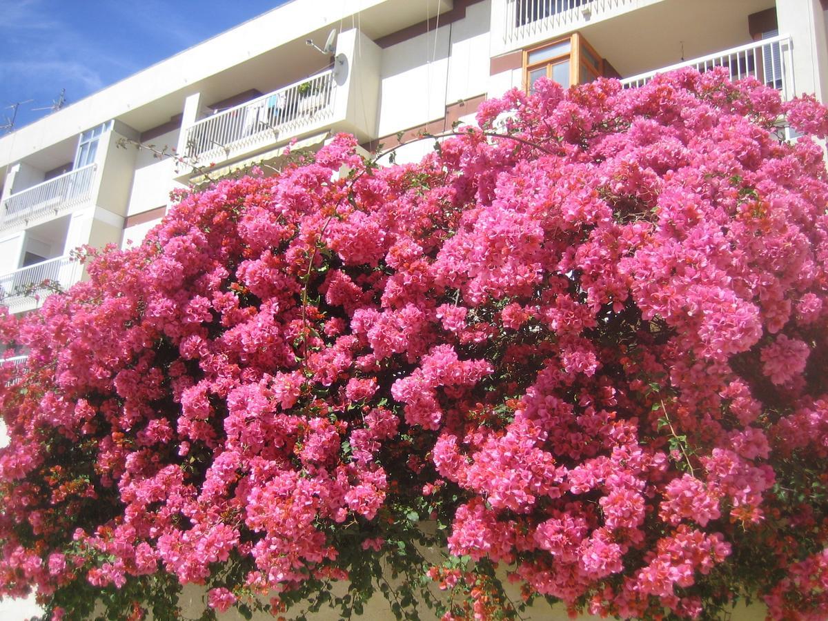 Appartement Carabeo 2000 3.1 Nerja